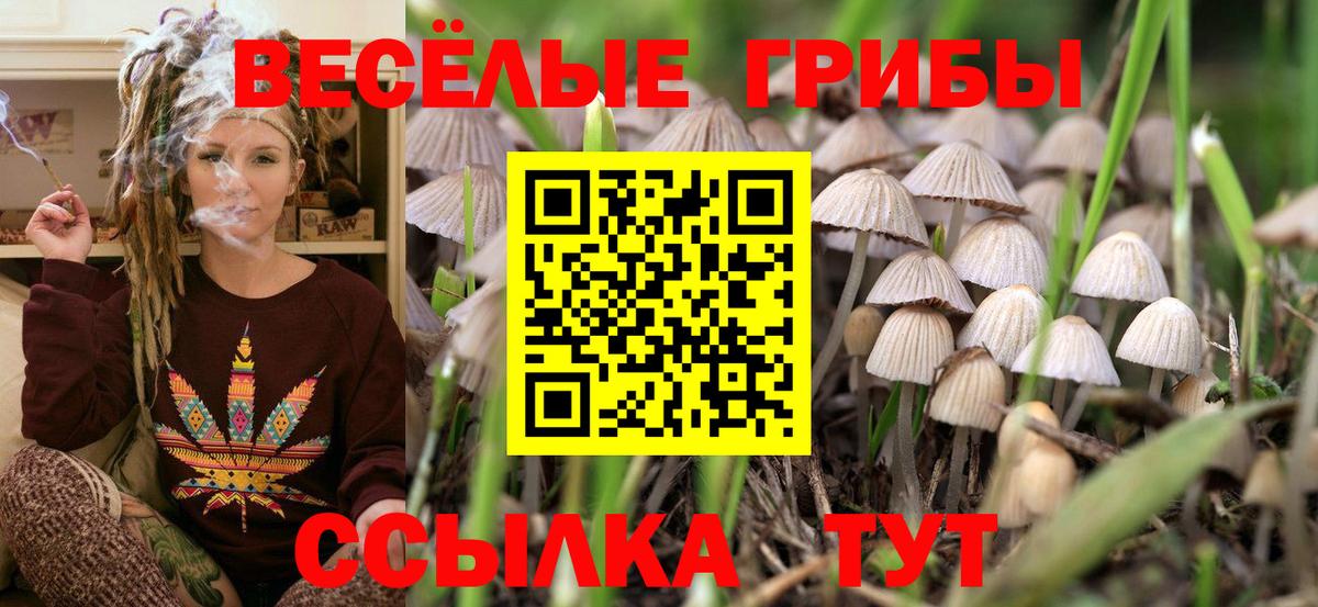 Галлюциногенные грибы MAGIC MUSHROOMS  Вход с VPN  Кыштым 